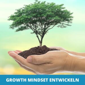 Growth Mindset - Die 3 Geheimnisse der Wachstumsmentalität