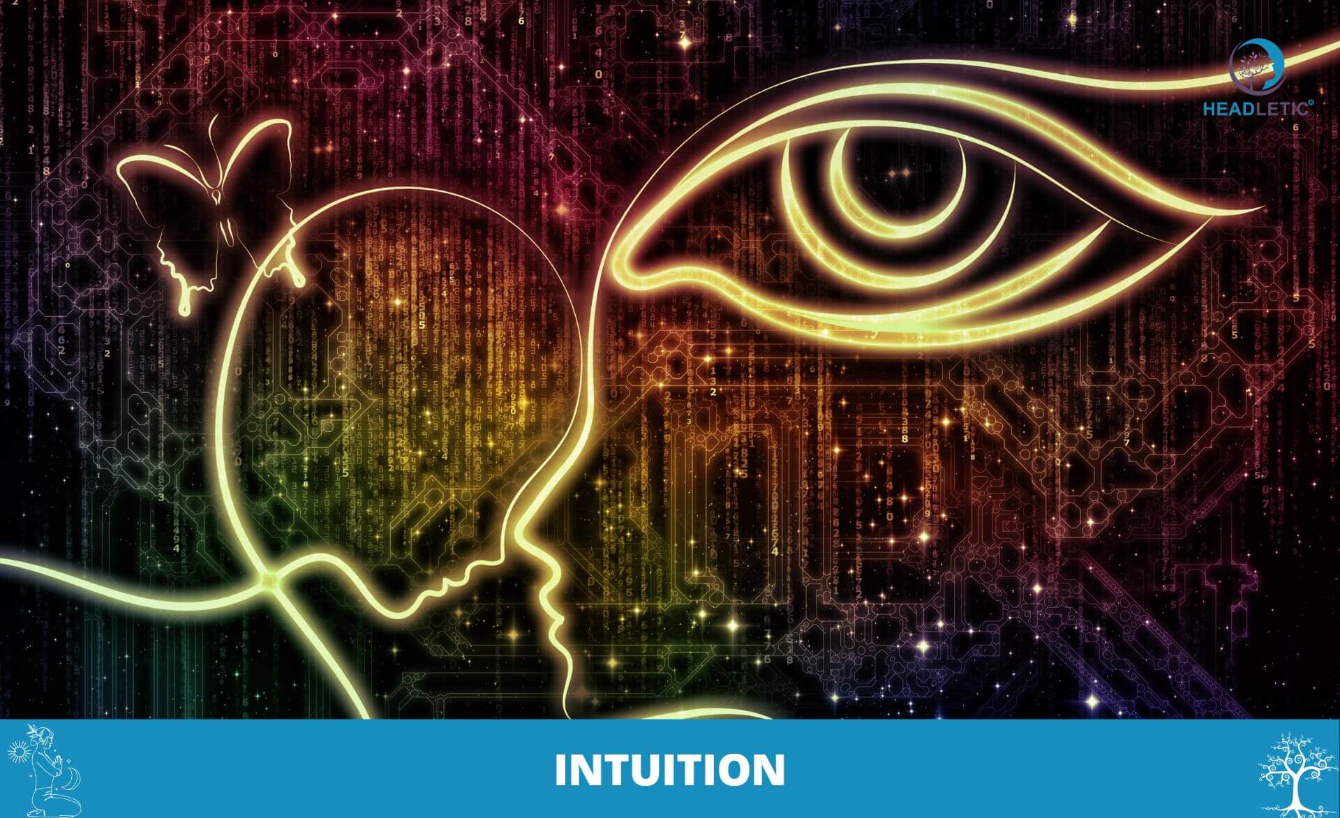 Wie zuverlässig ist unsere Intuition