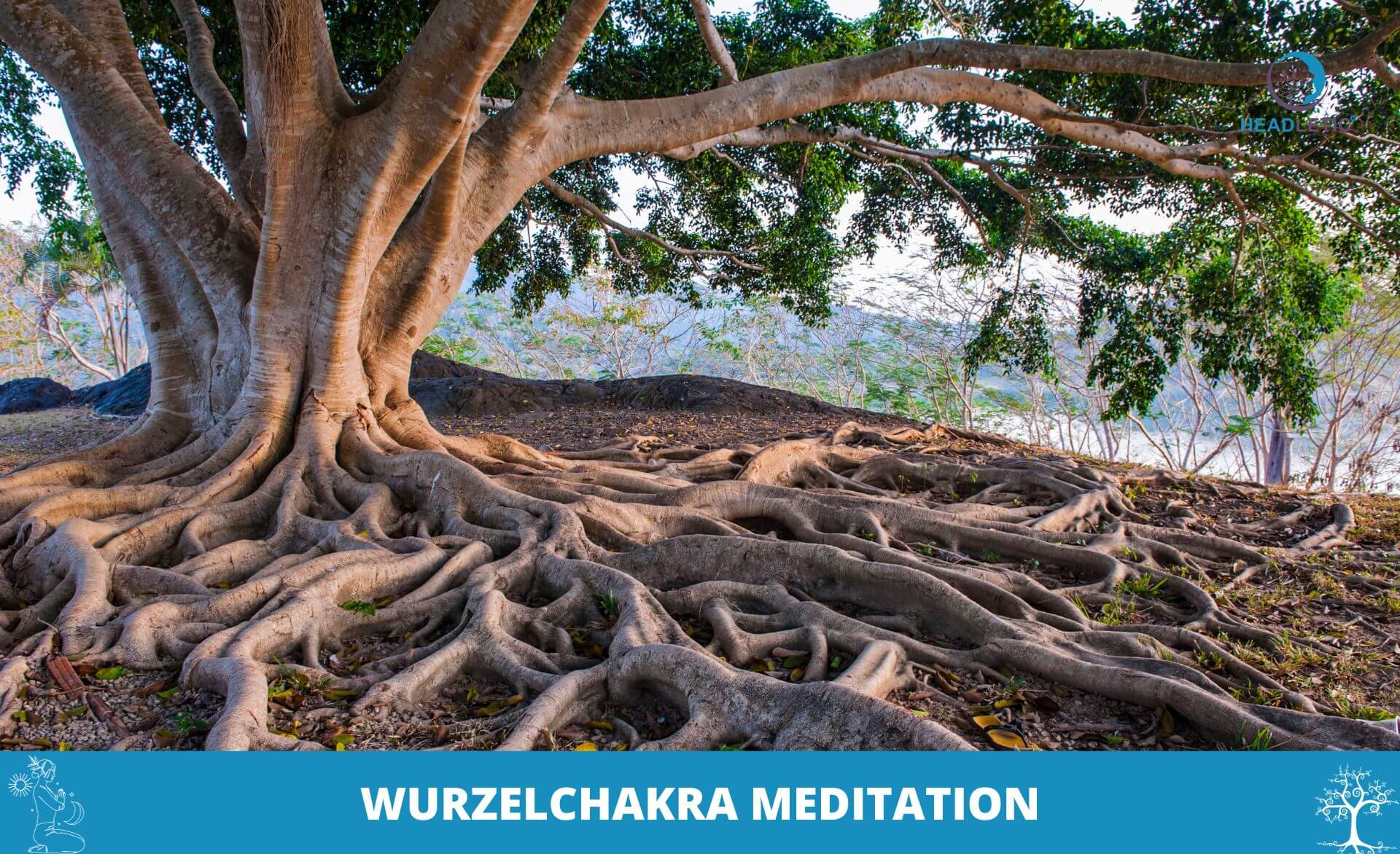 Entdecken Sie die tiefe und erdende Praxis der Wurzelchakra-Meditation, um sich mit den Wurzeln eines Baumes zu verbinden und Ihre Seele zu nähren.