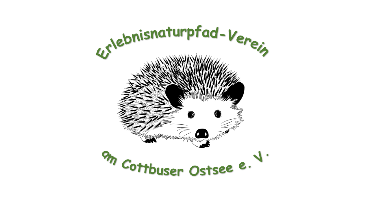 Logo des Erlebnisnaturpfad-Vereins mit einer schwarz-weißen Illustration eines Igels, mit dem Text „Erlebnisnaturpfad-Verein am Cottbuser Ostsee e.V.“ um die Illustration herum geschwungen, hebt den Bereich Merzdorf hervor und enthält Elemente aus „Pfad der Achtsamkeit Waldatmung“.